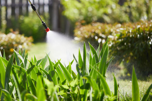 24/7 Emergency Cockroach Control experts in Pottsboro, TX