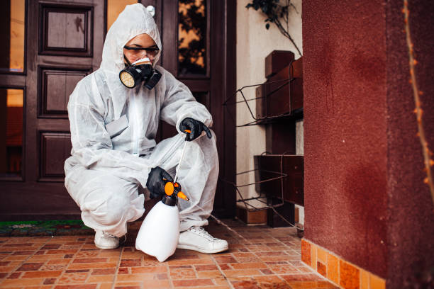 Reliable Cockroach Control contractor in Pottsboro, TX by Nex Pest Control